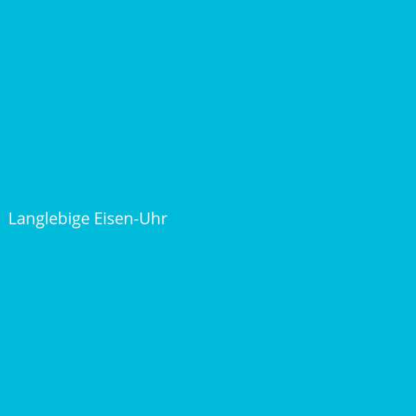 Langlebige Eisen-Uhr