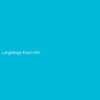 Langlebige Eisen-Uhr